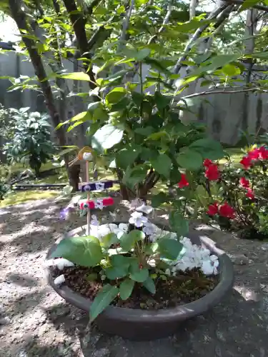 上野東照宮(東京都)