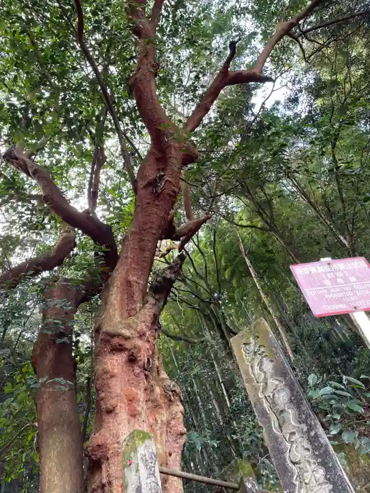 恩山寺(徳島県)