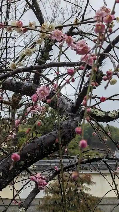 正法寺(京都府)