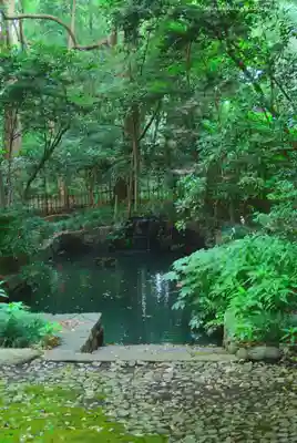 武蔵一宮氷川神社(埼玉県)
