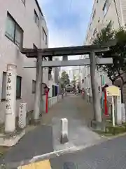 江島杉山神社の鳥居