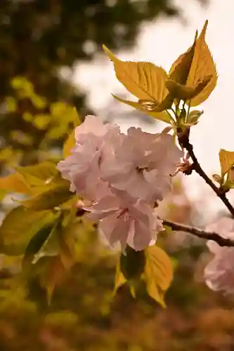 佛谷山(香川県)