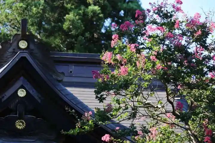 梁川八幡神社の本殿・本堂