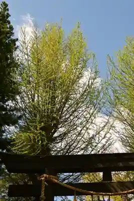 諏訪大社上社前宮(長野県)