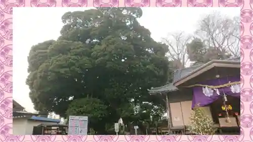 九重神社(埼玉県)