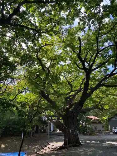 相馬神社の自然