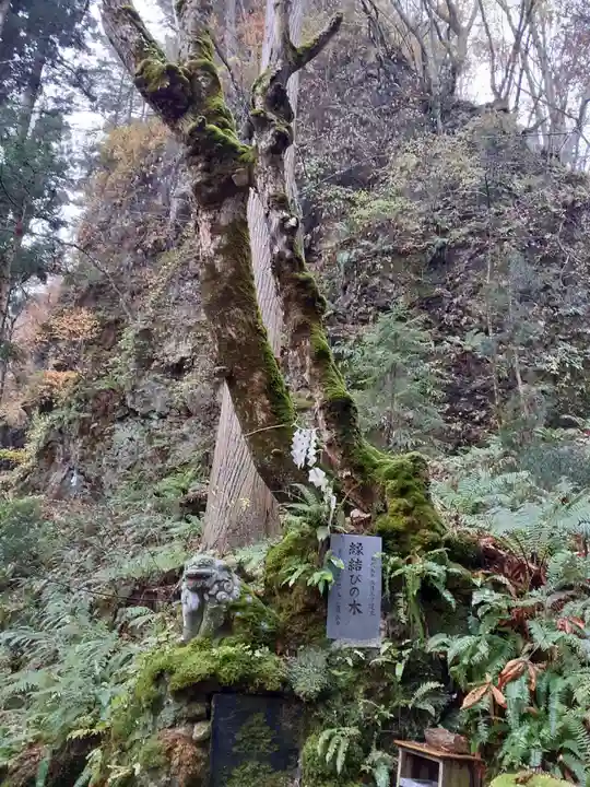 桜松神社(岩手県)