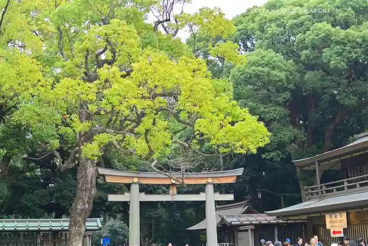 明治神宮(東京都)