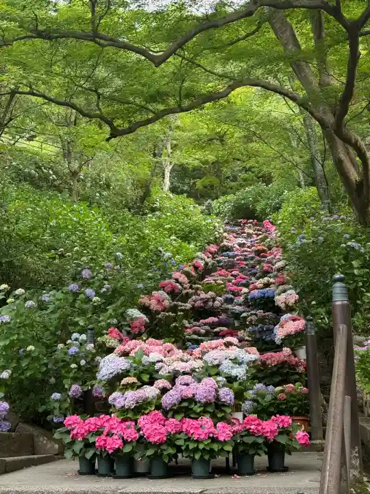 長谷寺(奈良県)