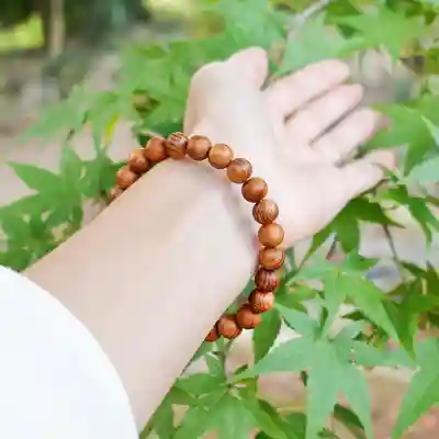 諫早神社（九州総守護  四面宮）(長崎県)