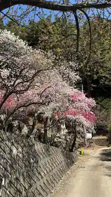 国福大神社(山梨県)