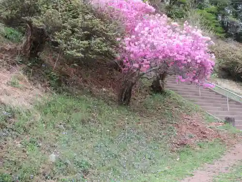 宝登山神社奥宮(埼玉県)