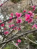 高麗神社(埼玉県)