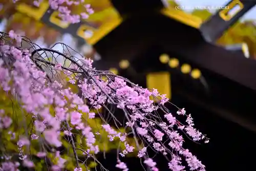 伊勢山皇大神宮(神奈川県)