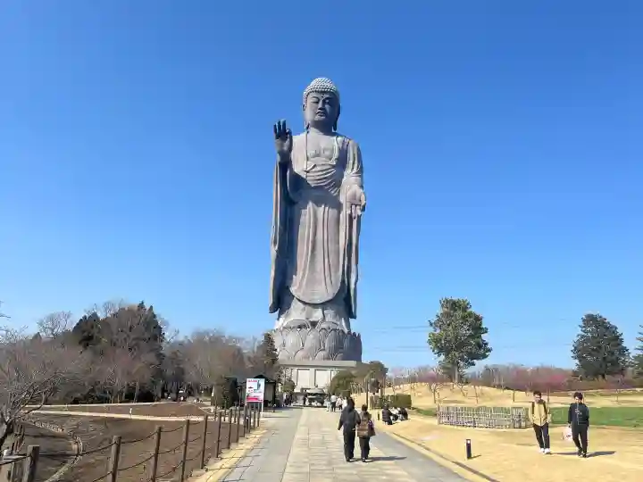 東本願寺本廟 牛久浄苑(牛久大仏)の{uncategorized: "未分類", other: "その他", undefined: "問題あり", building: "その他建物", grave: "お墓", sacred_gate: "鳥居", guardian: "狛犬", statue: "像", buddha: "仏像", history: "歴史", nature: "自然", garden: "庭園", animal: "動物", pagoda: "塔", temizu: "手水舎", mountain_gate: "山門・神門", sanctuary: "本殿・本堂", subordinate: "末社・摂社", art: "芸術", scenery: "景色", jizo: "地蔵", ema: "絵馬", goshuin: "御朱印", omikuji: "おみくじ", items: "授与品その他", amulet: "お守り", goshuincho: "御朱印帳", eats: "食事", festival: "お祭り", votive_dance: "神楽", shichigosan: "七五三参", wedding: "結婚式", experience: "体験その他", initially: "初詣", around: "周辺", anti_infection: "感染症対策"}