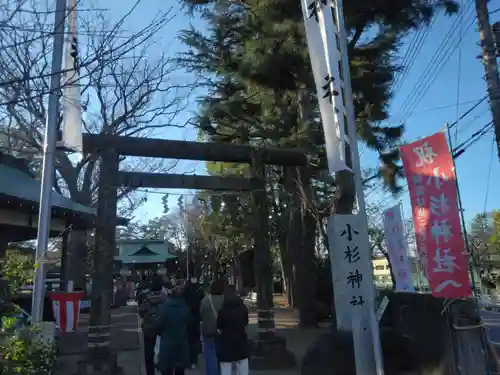 小杉神社(神奈川県)