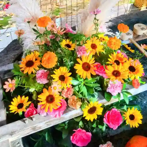 彌彦神社　(伊夜日子神社)の手水舎