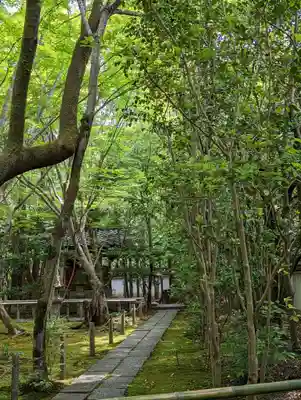 蓮華寺（洛北蓮華寺）(京都府)