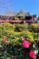 清水観音堂の本殿・本堂