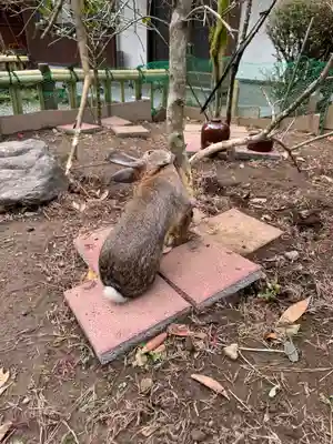 天岩戸神社(宮崎県)
