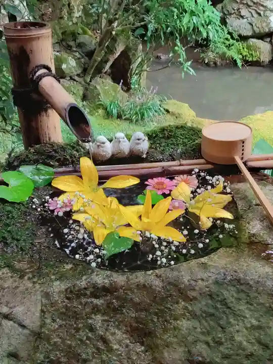 柳谷観音 楊谷寺の手水舎