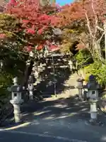 真龍寺(大阪府)