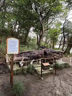 泉神社(茨城県)