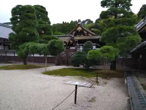 御寺 泉涌寺の庭園