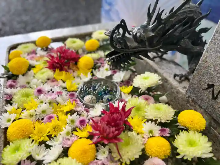 札幌諏訪神社の手水舎