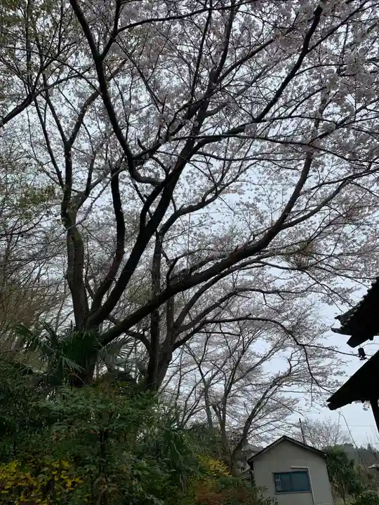 西定寺(千葉県)