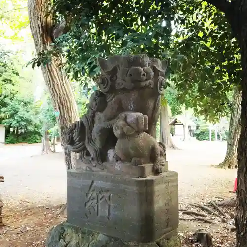 小金井神社の狛犬