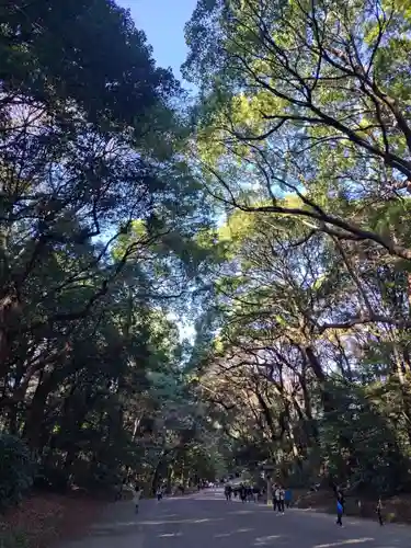 明治神宮(東京都)