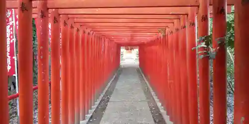 白山神社の鳥居