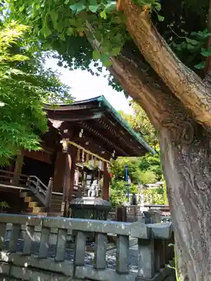 五條天神社の本殿・本堂