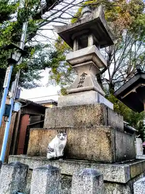 金山神社の動物