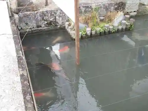 弘誓寺(滋賀県)