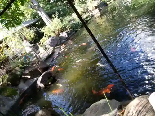 愛宕神社の庭園