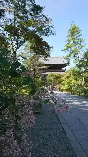 南禅寺のその他建物