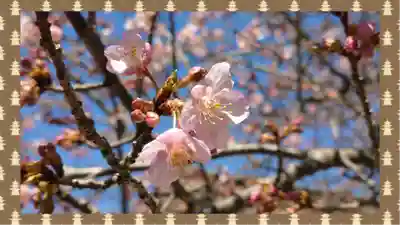 龍光院(千葉県)