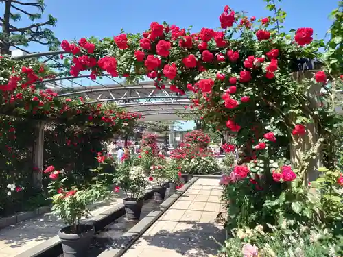 東京競馬場馬頭観音の自然