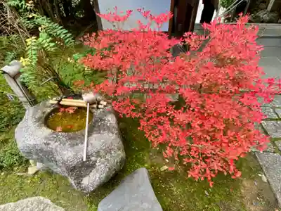 金福寺(京都府)