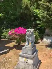 八幡神社(福井県)