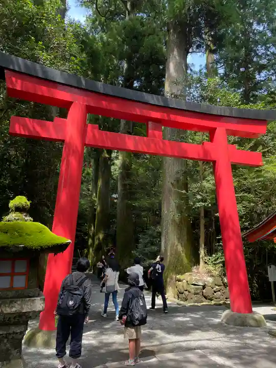 箱根神社の鳥居