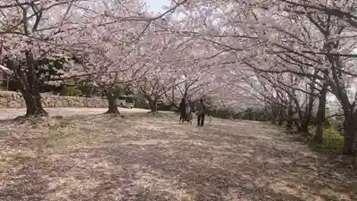貴船神社の自然