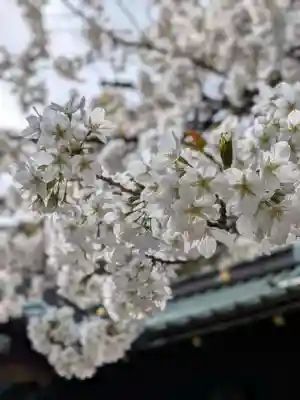 金王八幡宮(東京都)
