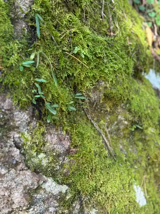 諏訪大社(長野県)