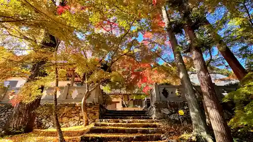 正法寺(京都府)