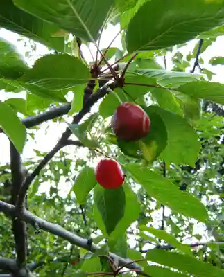 仁木神社(北海道)