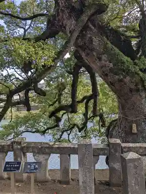 與止日女神社(佐賀県)