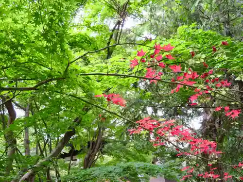 淨眞寺の自然